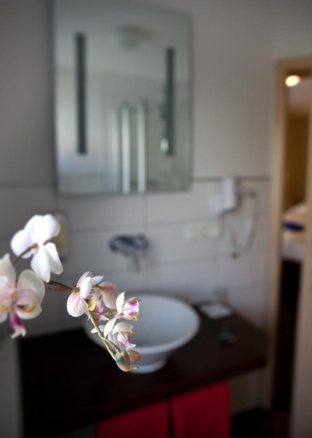 Hotel Rosenhof Garni 佩格尼茨 外观 照片